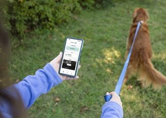 ADT on the shift from smart homes to intelligent homes