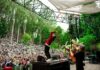 Evolv Express enhances Stern Grove Festival safety