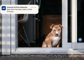 ADT adds unusual activity alerts to services