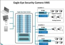 Viisights integrates with Eagle Eye Cloud